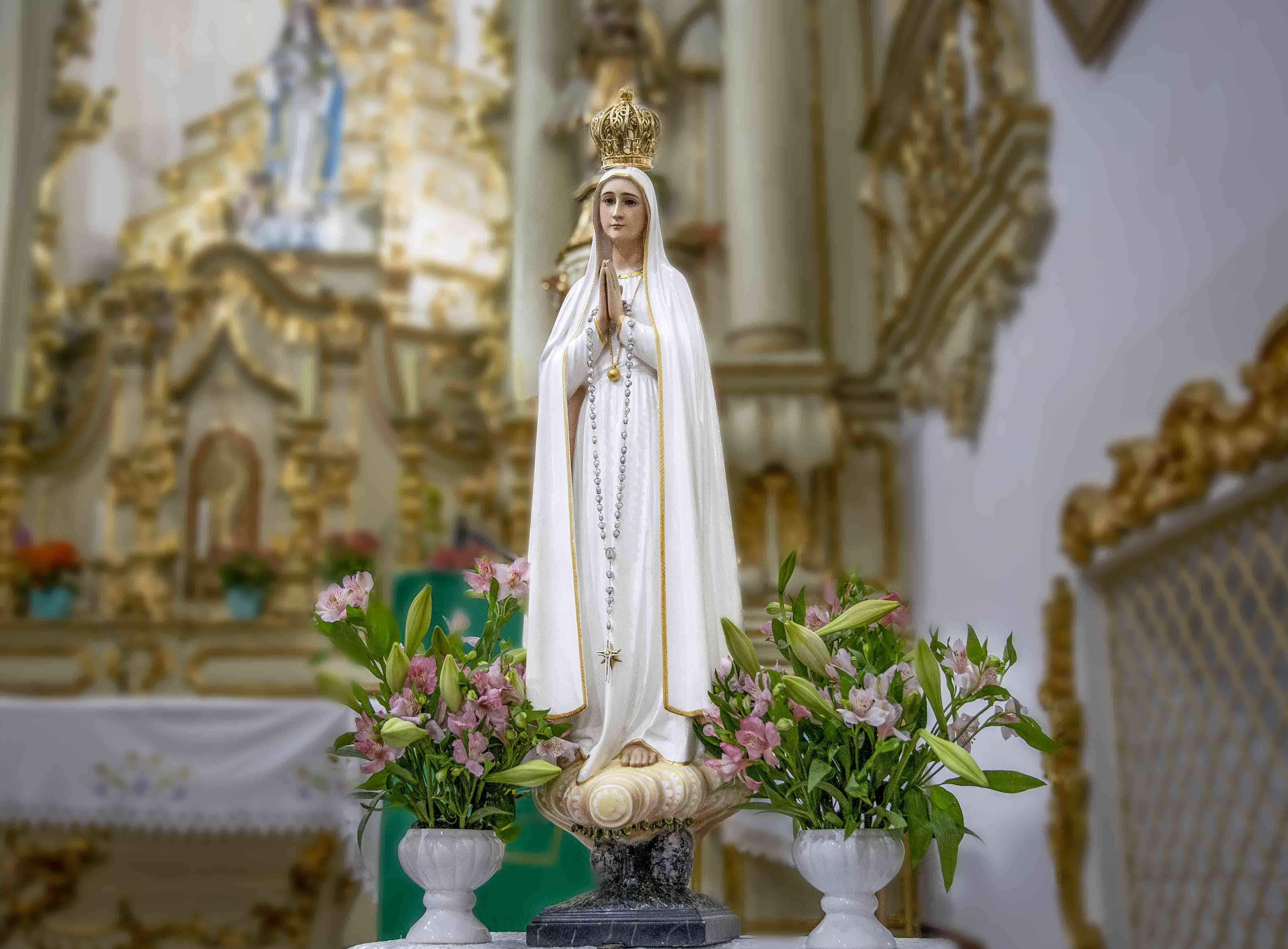 imagem peregrina de fatima